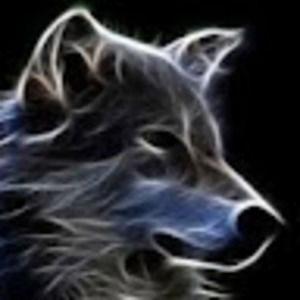 Meet your Posher, Bradley